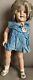 18 Antique Ideal Compo Shirley Temple Doll 1930's All Original Blue Dress