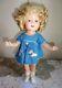 1930's Ideal 16 Shirley Temple Composite Doll With Global Dolls 100% Mohair Wig