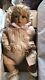 Danbury Mint Shirley Temple Darling Little Shirley Doll By Elke Hutchens, Nib